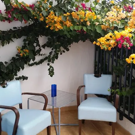 Apartment Garden House